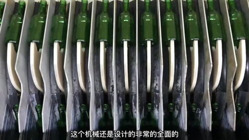 工廠生產 酒瓶 包裝全過程,全自動機械日產100萬瓶,漲知識了